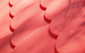 Curbridge plastic roof costs